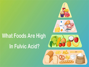 What Foods Are High In Fulvic Acid?